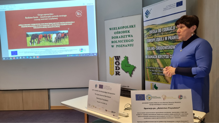 rodzime konie dr inz iwona tomczyk wrona grupa operacyjna rodzime konie