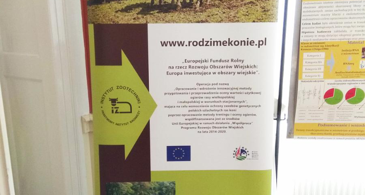Wyniki pracy grupy operacyjnej rodzime konie - WODR Poznań